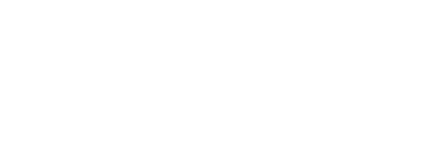 Marry Spain logo-marryspain