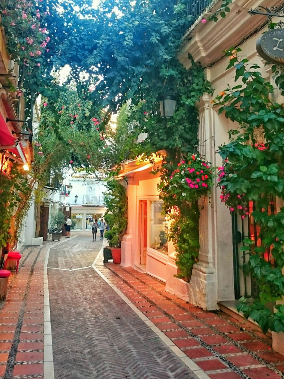 Image 2 Marbella