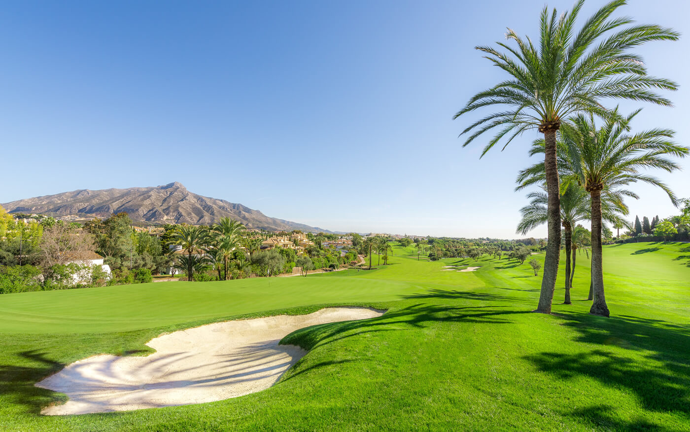 Image 7 Marbella